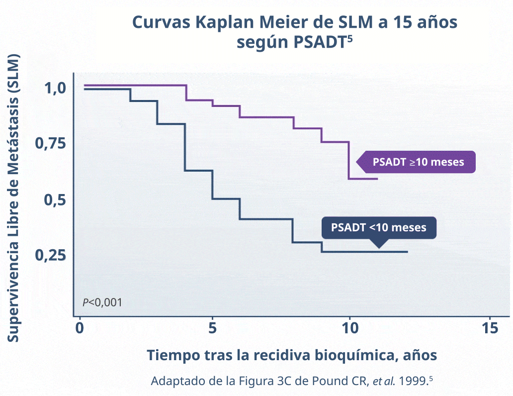 Curvas Kaplan Meier SLP 15 años según PSADT. Estudios basados en evidencia en vida real evaluaron la relación entre la recidiva recurrencia bioquímica (RBQ) en el cáncer de próstata después de una prostatectomía radical y la progresión de la enfermedad.